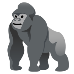 Gorilla Terminal favicon