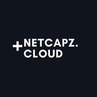 Netcapz favicon