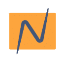 Netify.ai favicon